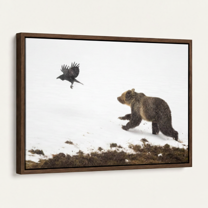 Close-up side angle of framed canvas showing grizzly bear pursuing raven across a snowy winter ridge
