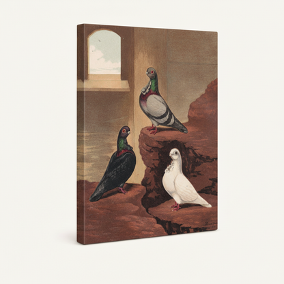 Angled view of vintage bird canvas art gallery-wrapped with thick edges on a clean white background