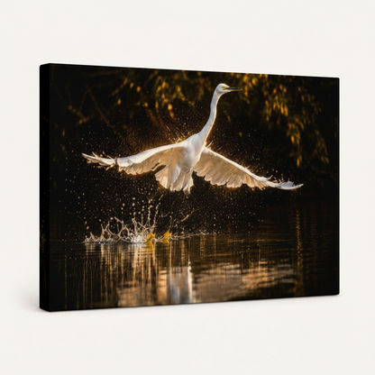 Gallery-wrapped egret taking flight canvas wall art dark water golden light wrap edges shown at left-angle view