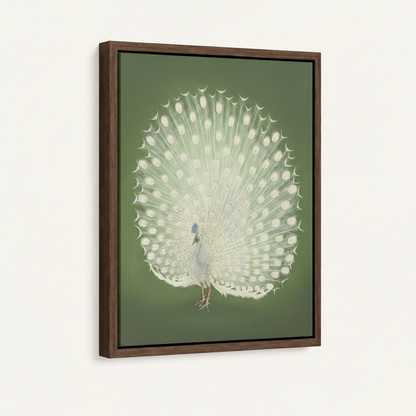 Framed white peacock Japanese woodblock canvas art in dark walnut floater frame, angled three-quarter view on white background