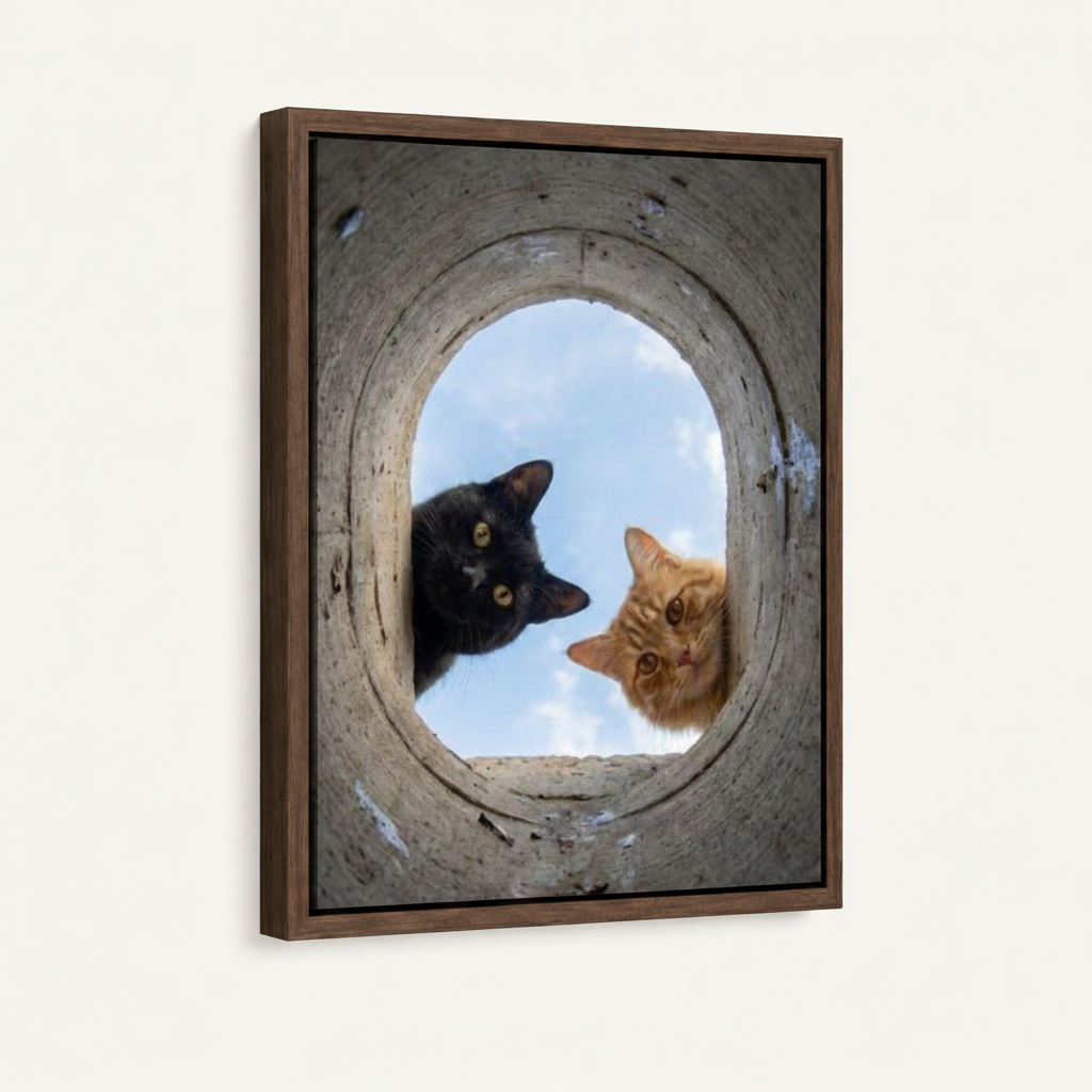 Framed canvas wall art showing black cat and orange tabby in concrete pipe, walnut float frame