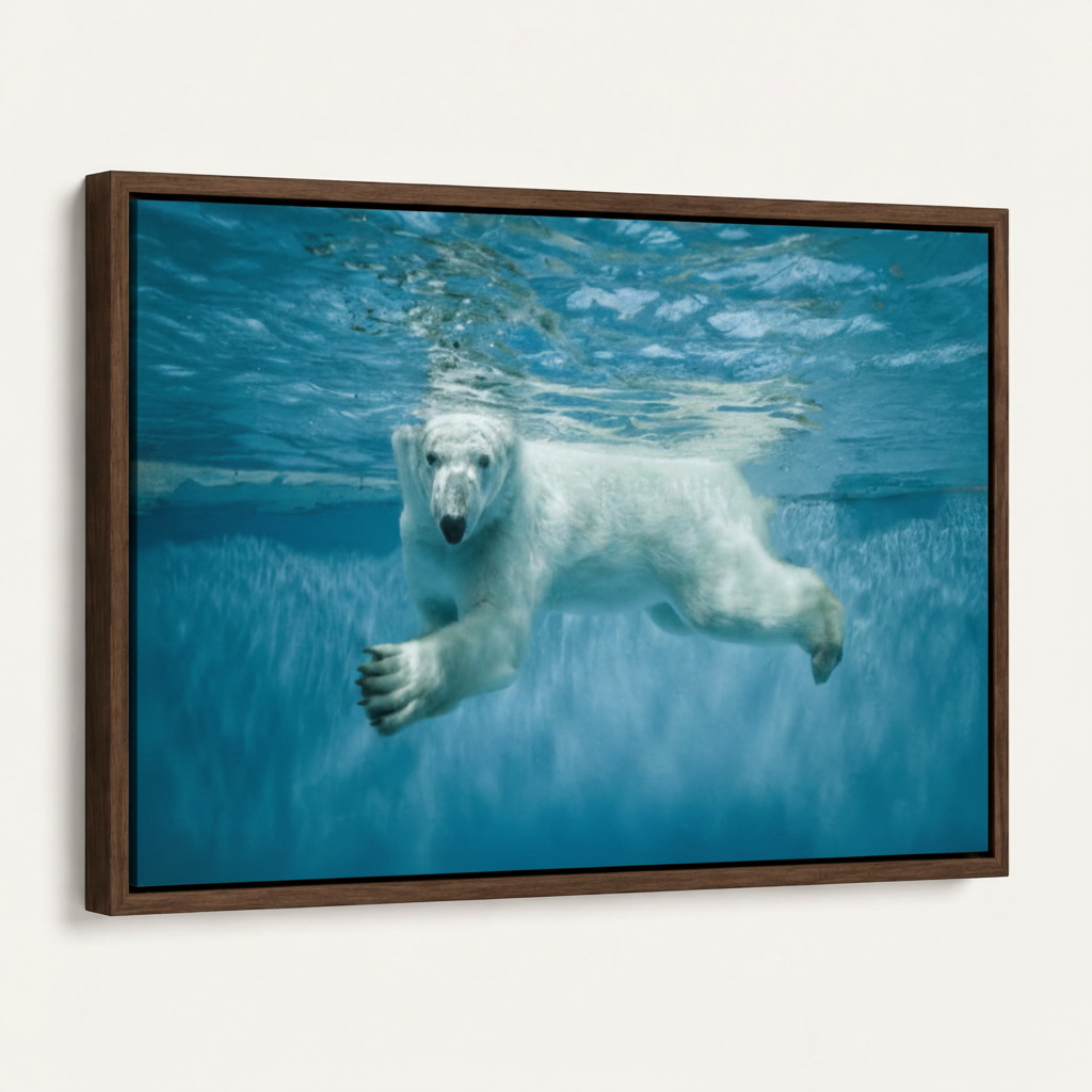 Polar bear canvas wall art in dark walnut floater frame shown at an angle on white background