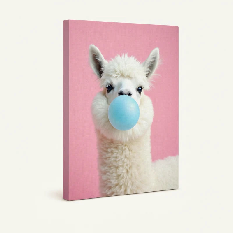 Gallery-wrapped white alpaca blowing blue bubble gum canvas print shown on white background