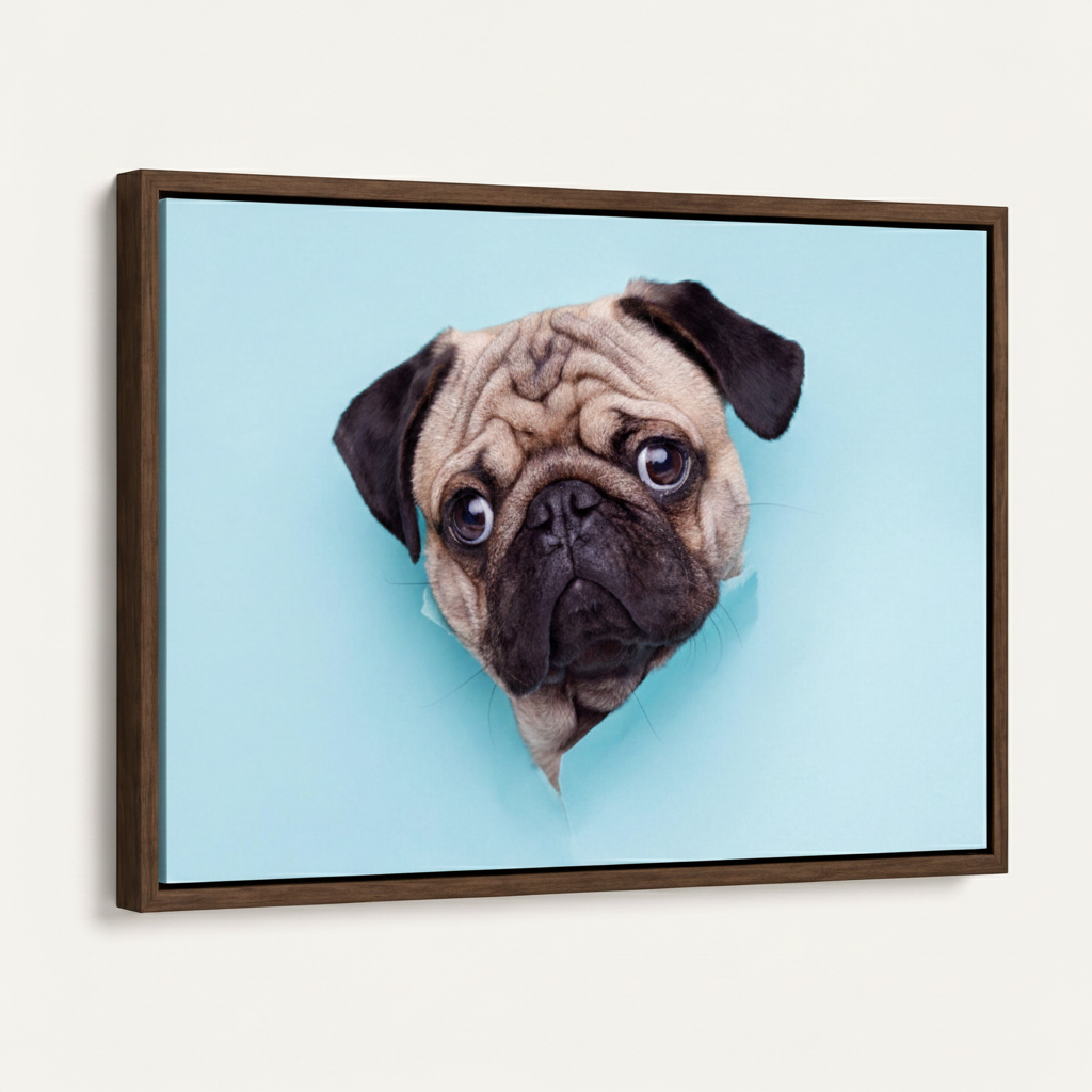 Dark walnut floater frame with pug dog canvas art, angled product view on white background