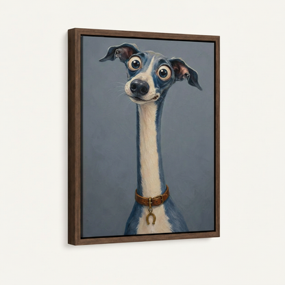Float frame canvas wall art of Italian Greyhound with expressive eyes, dark walnut frame