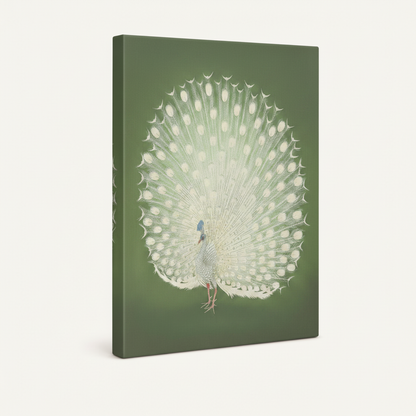 Gallery-wrapped white peacock canvas on sage green background, angled side view showing thick canvas wrap on white background