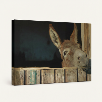 Gallery-wrapped rustic donkey canvas print shown at an angle, dark moody tones, white background