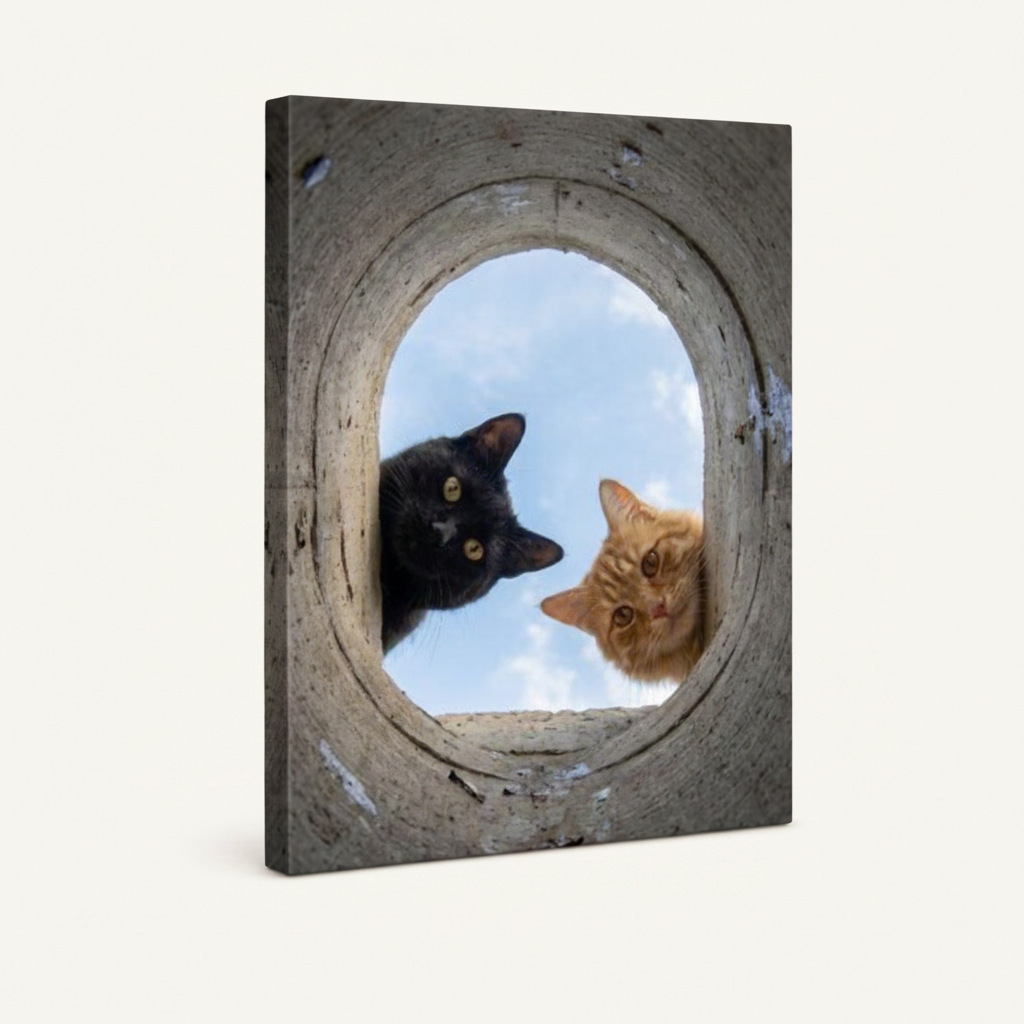 Gallery-wrapped canvas art with two cats looking down from circular tunnel opening, side wrap detail