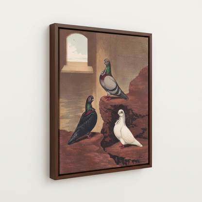 Angled view of Victorian pigeon painting in walnut float frame against a soft white wall