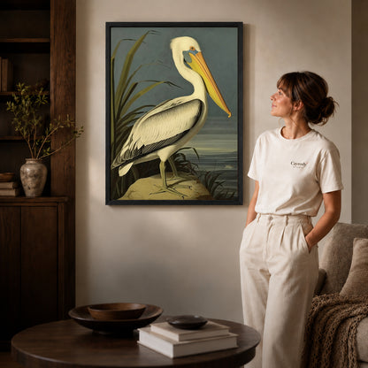 Vintage pelican canvas art shown in the black frame option against a softly lit wall.