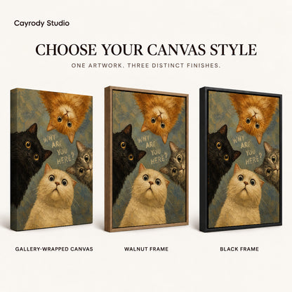 Curious Cat Quartet artwork finish chart showing gallery wrapped canvas, walnut frame, and black frame options.