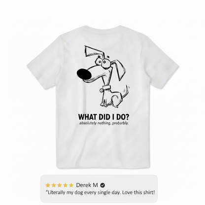 What Did I Do? Absolutely Nothing. Probably. Tee