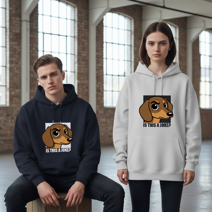 "Is This a Joke?" Funny Dachshund Graphic Hoodie H1106