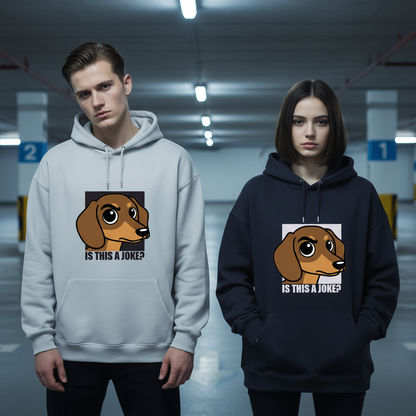 "Is This a Joke?" Funny Dachshund Graphic Hoodie H1106