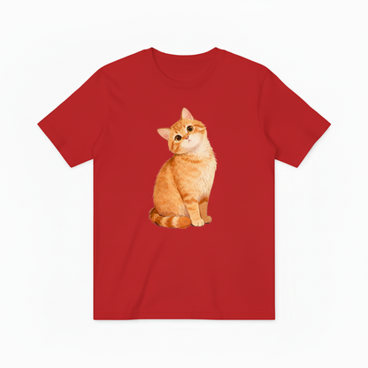 红色T恤-橙色小猫