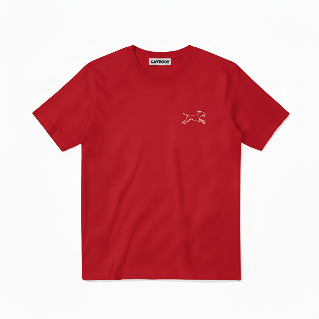 Fetch Your Dreams Dog Tee